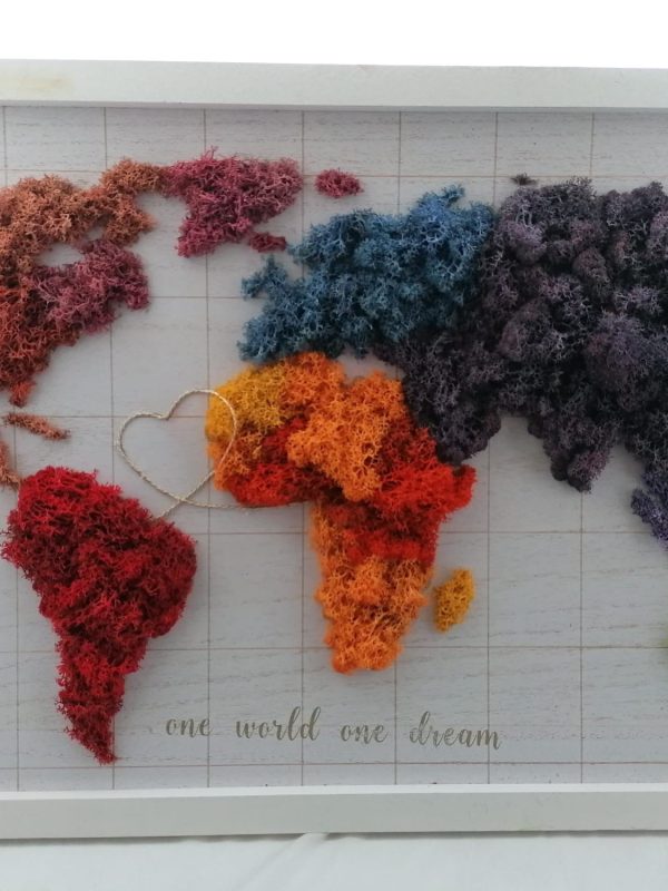 Tablou "Harta Lumii" cu licheni stabilizați